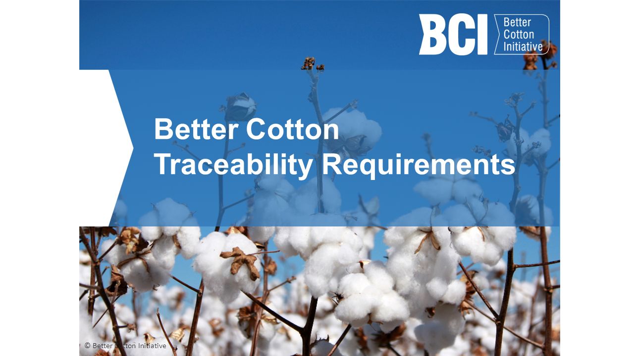 YarncIty® is sourcIng BCI CertIfifed Cotton FIbres